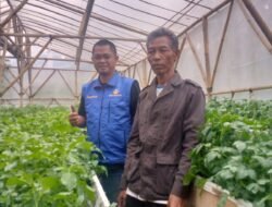 Partai Gema Bangsa Dorong Kemandirian Petani, Cigedug Disiapkan Jadi Sentra Bibit Kentang Unggulan