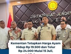 Kementan Tetapkan Harga Dasar Ayam-Telur untuk Jaga Stabilitas Pasokan