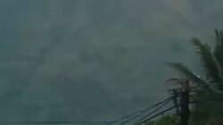 Gunung Guntur Terbakar: 200 Hektar Lahan Hangus 