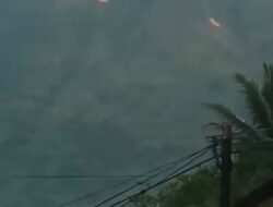 Gunung Guntur Terbakar: 200 Hektar Lahan Hangus 
