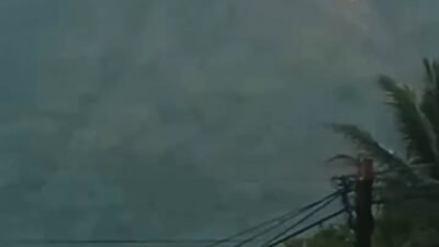 Gunung Guntur Terbakar: 200 Hektar Lahan Hangus 