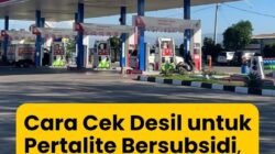 Cara Cek Desil DTSEN untuk Subsidi Pertalite, Bisa Sanggah Kalau Data Salah