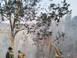 Proses Pemadaman Api di Kawasan Gunung Nagara Desa Sukanagara Kecamatan Cisompet Masih Berlangsung