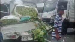 BREAKING: Kecelakaan Beruntun di Tol Cipularang KM 92 Arah Jakarta, Lebih dari 10 Kendaraan Terlibat